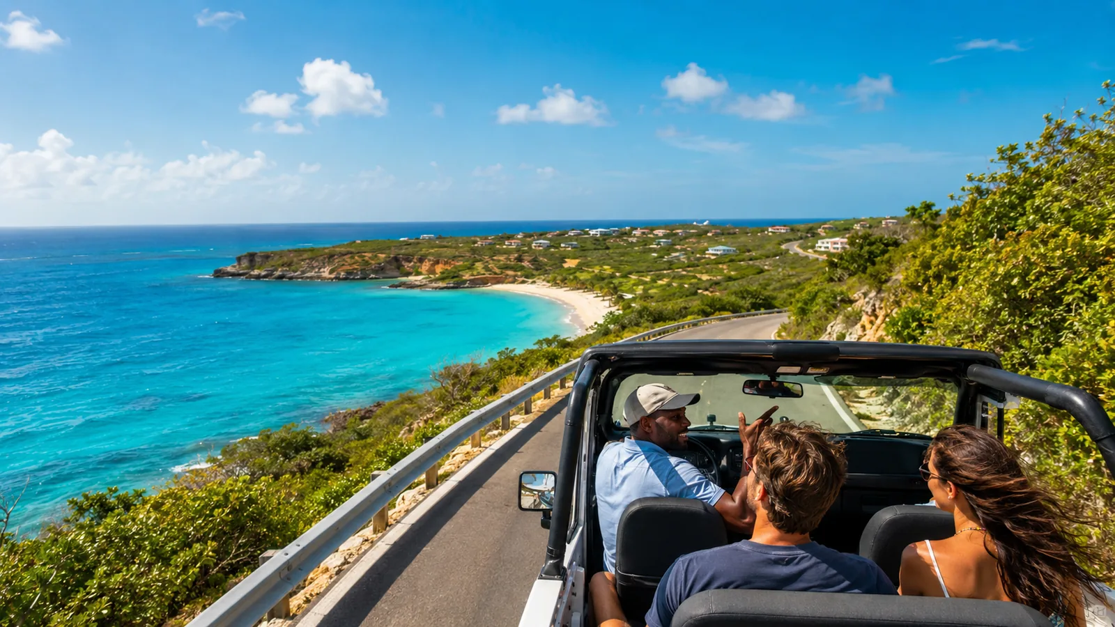 Guided island tour
